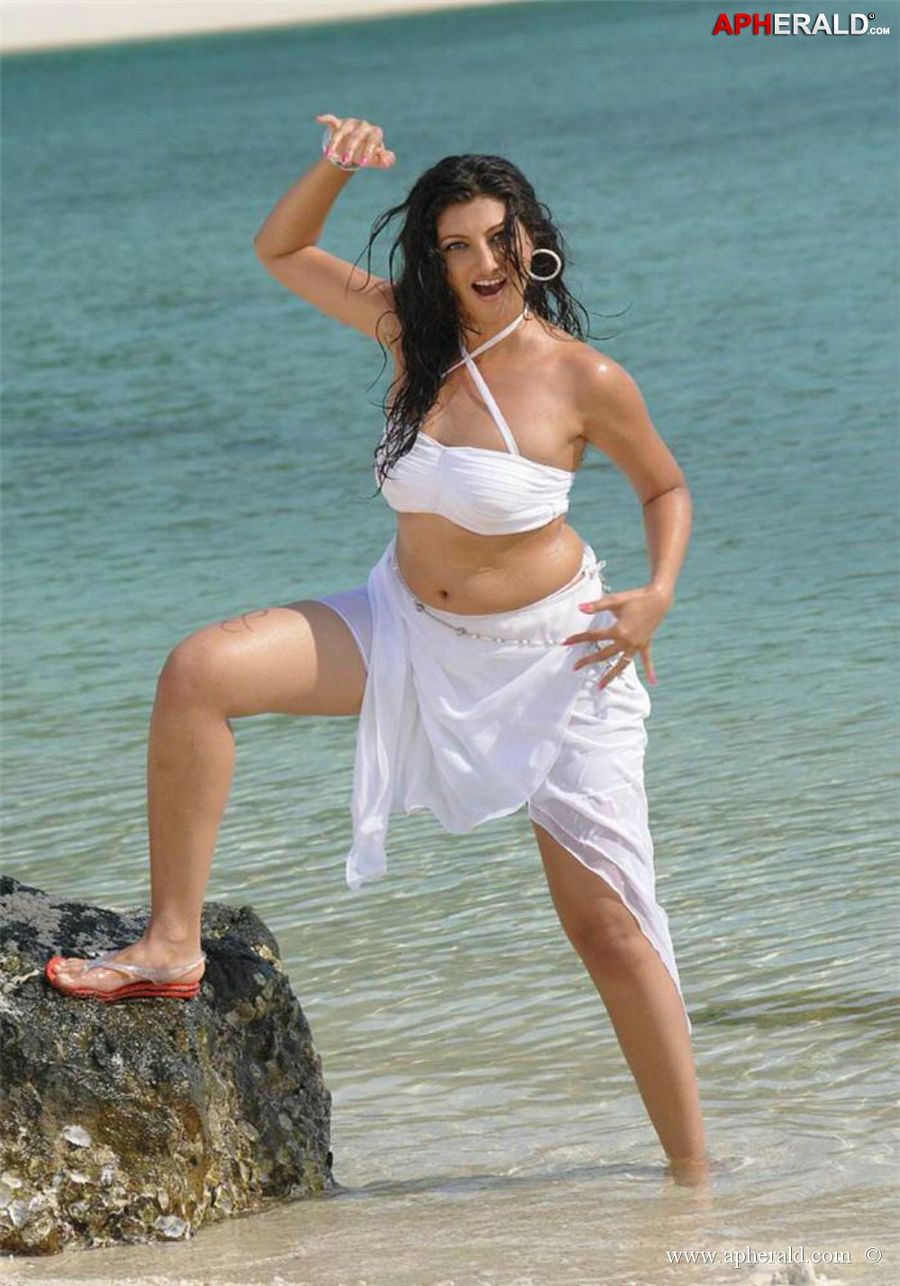 Item Girl Hamsa Nandini Hot Photos