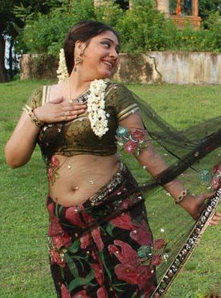 Meenakshi Kailash Hot Saree Sexy Photos