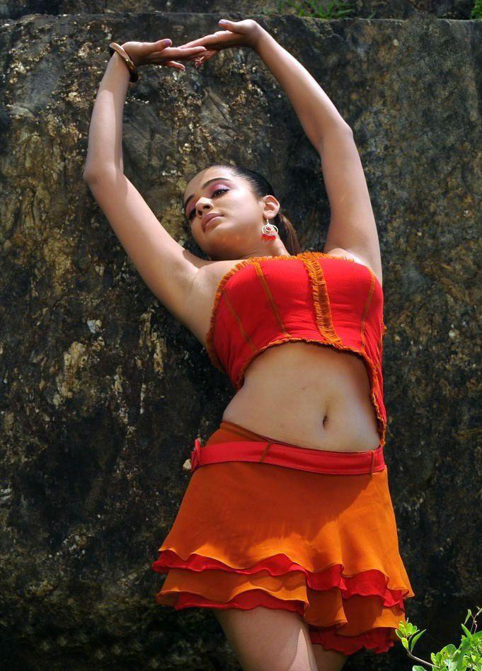 Priyamani Hot Navel Show Pics