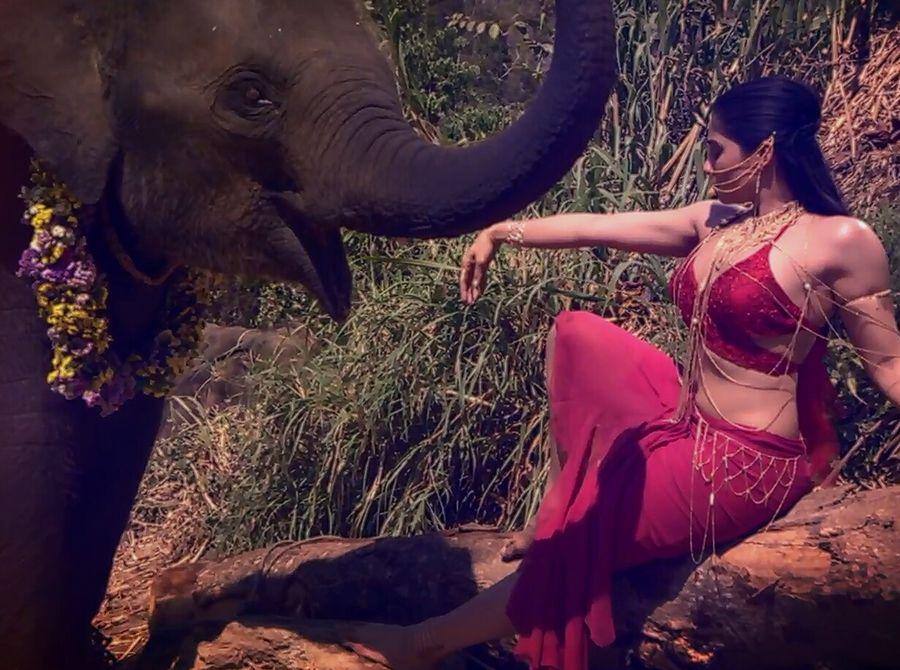 Regina Cassandra in Krishna Vamsi's Nakshatram Movie Stills