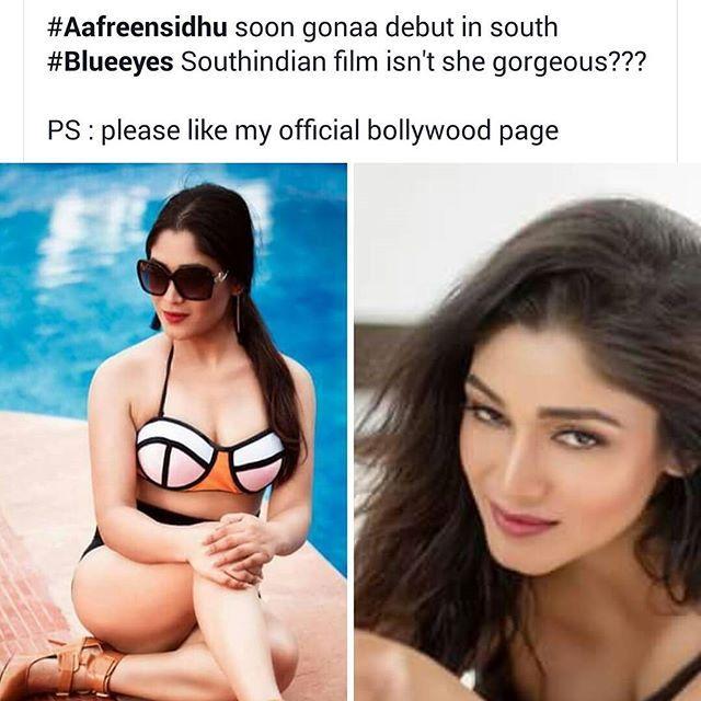 Sensuous Actress Aafreen Sidhu Bikini Photoshoot Stills