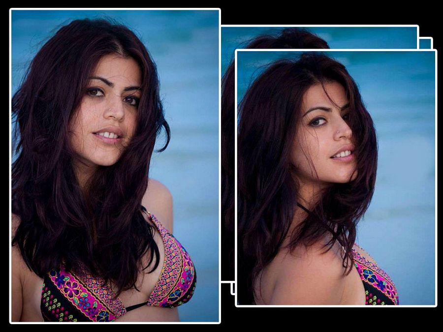 Shenaz Treasurywala Hot & Sexy Wallpapers