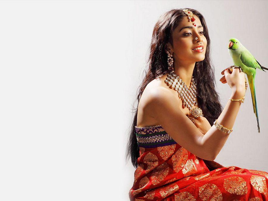 B'day Special: Shriya Saran Never SEEN Hot Photos Collections