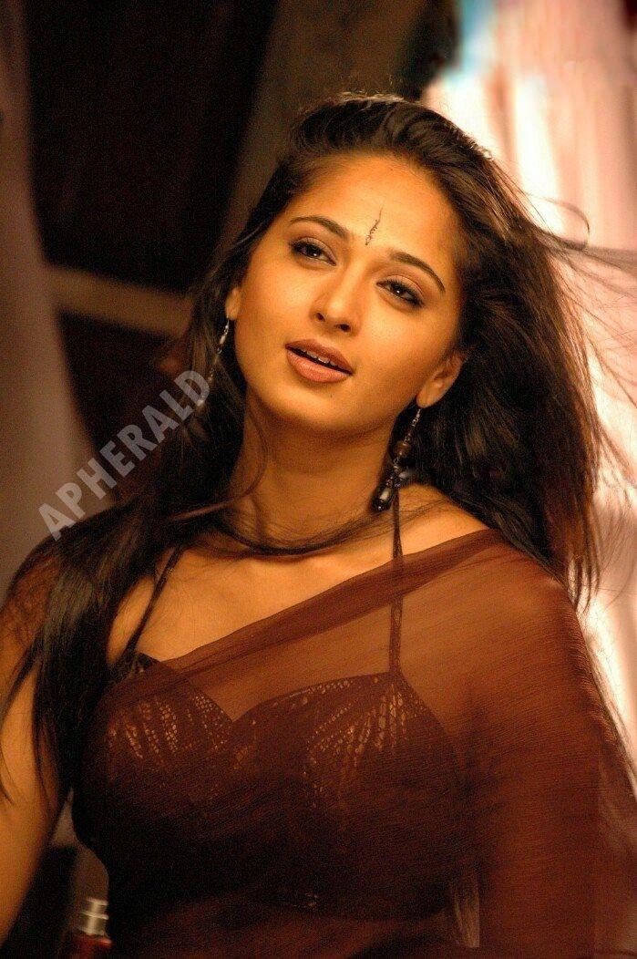 Sizzling Spicy Hot photos of Anushka Shetty draping a Saree