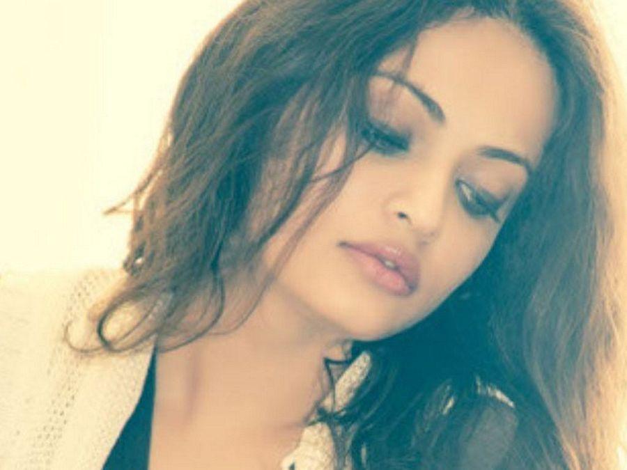 Sneha Ullal Hot & Spicy Photos Are Too Hot To Handle