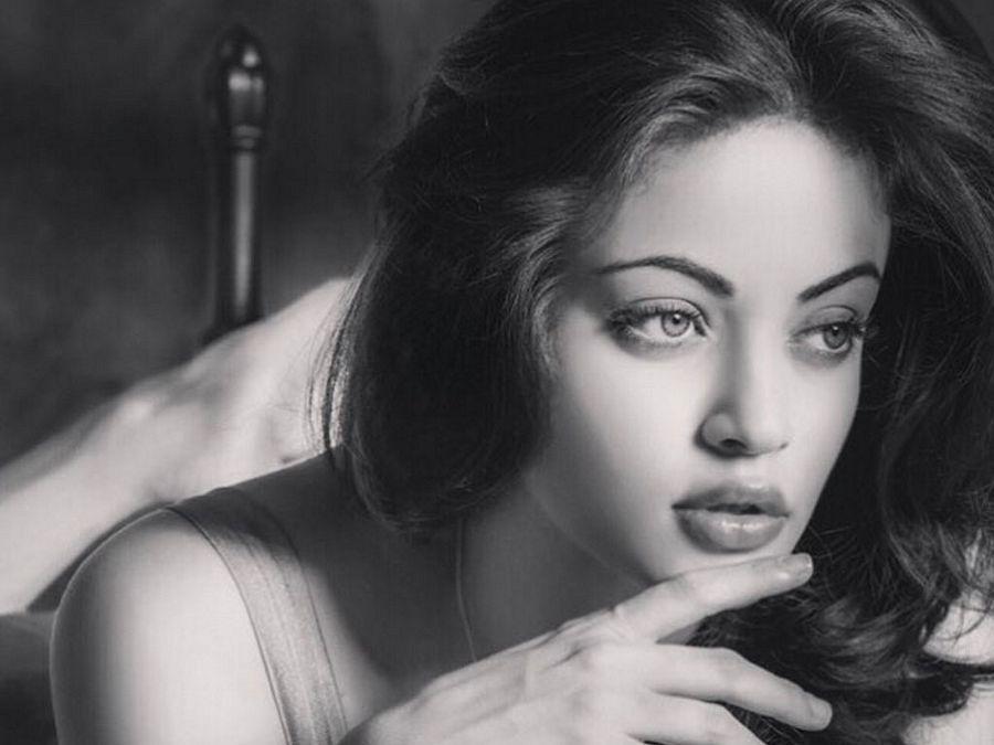 Sneha Ullal Hot & Spicy Photos Are Too Hot To Handle