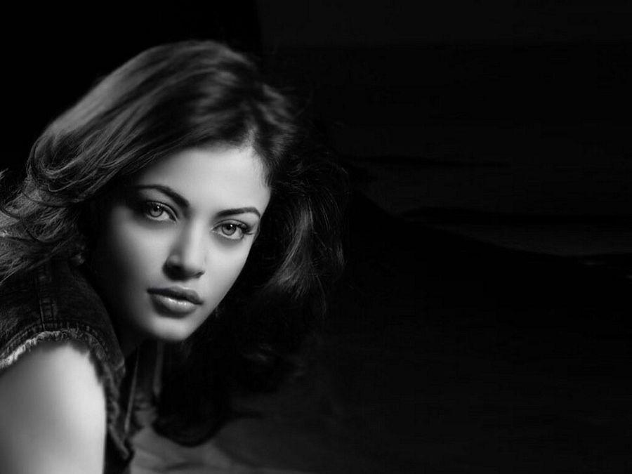 Sneha Ullal Hot & Spicy Photos Are Too Hot To Handle