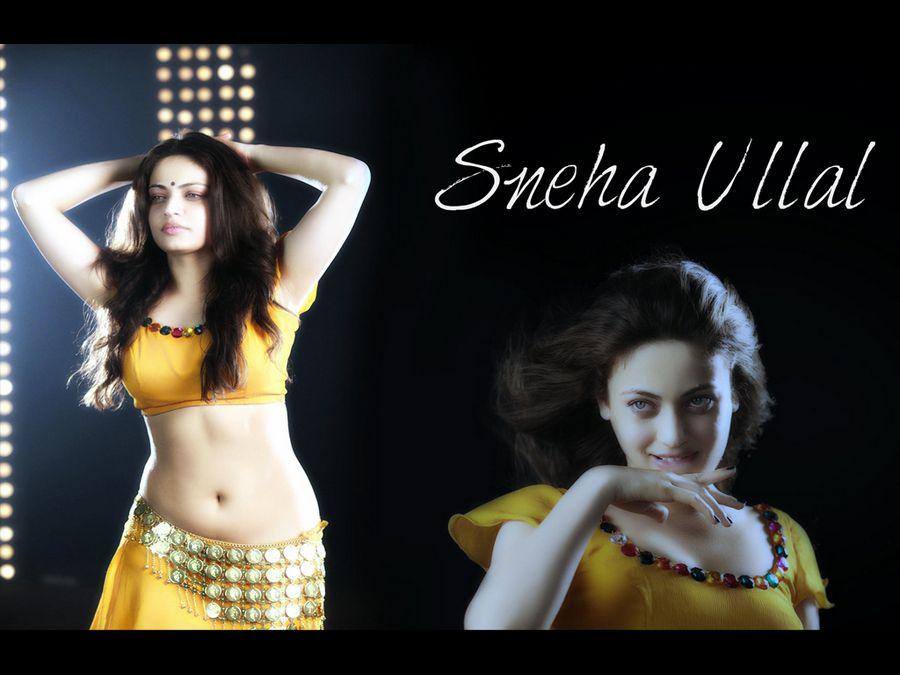 Sneha Ullal Hot & Spicy Photos Are Too Hot To Handle