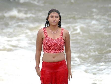 South Indian Actress Wet Saree Hot Navel Photos