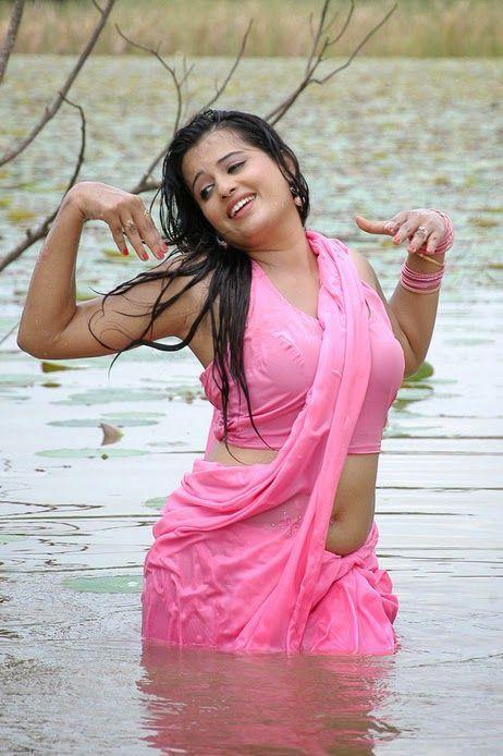 South Indian Actress Wet Saree Hot Navel Photos