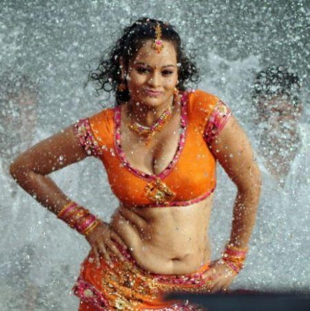 South Indian Actress Wet Saree Hot Navel Photos