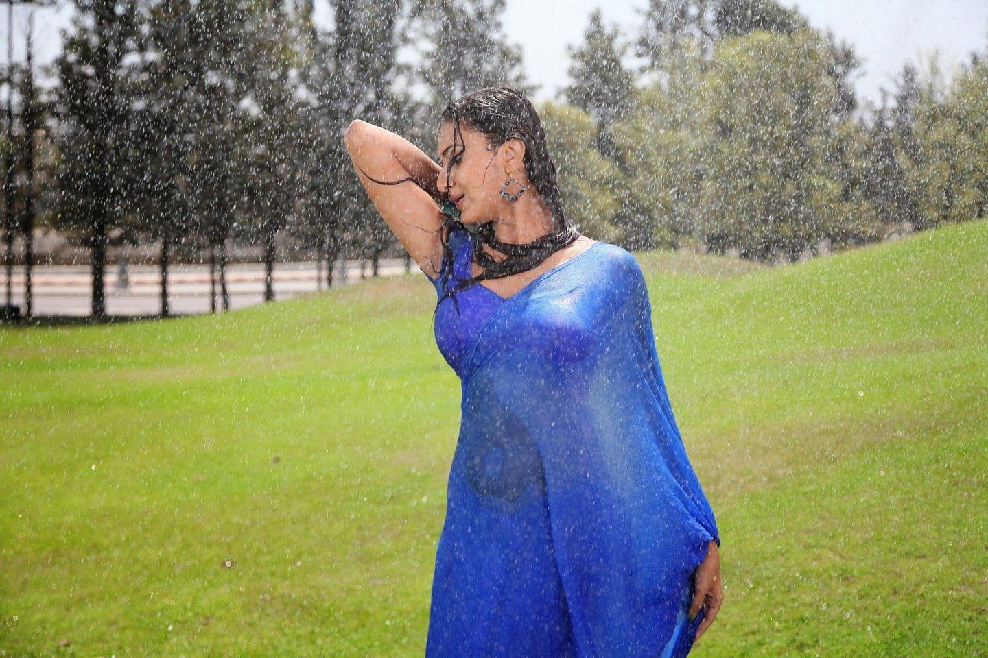 South Indian Actresses In Wet Saree Hot Show Photos Collections