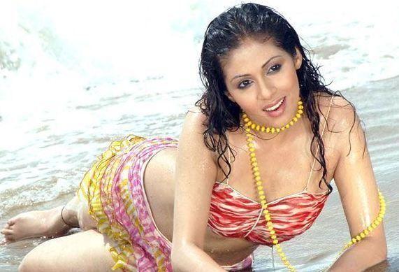 South Indian Actresses In Wet Saree Hot Show Photos Collections