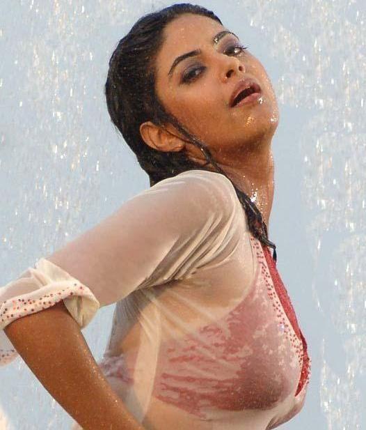 South Indian Actresses In Wet Saree Hot Show Photos Collections