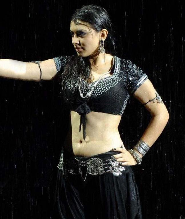 South Indian Actresses In Wet Saree Hot Show Photos Collections