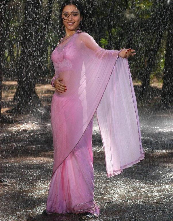 South Indian Actresses In Wet Saree Hot Show Photos Collections