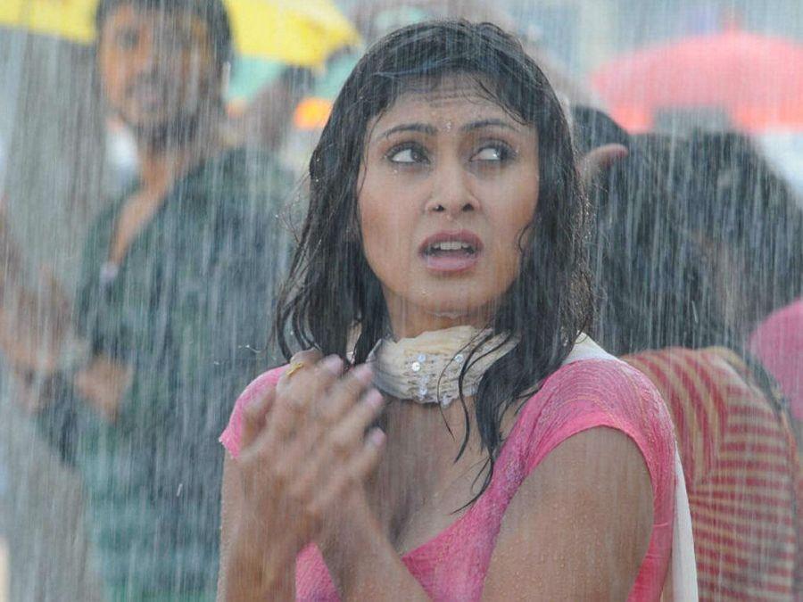 South Indian Beauties Sizzling in Rain Photos