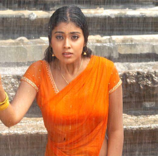 South Indian Beauties Sizzling in Rain Photos