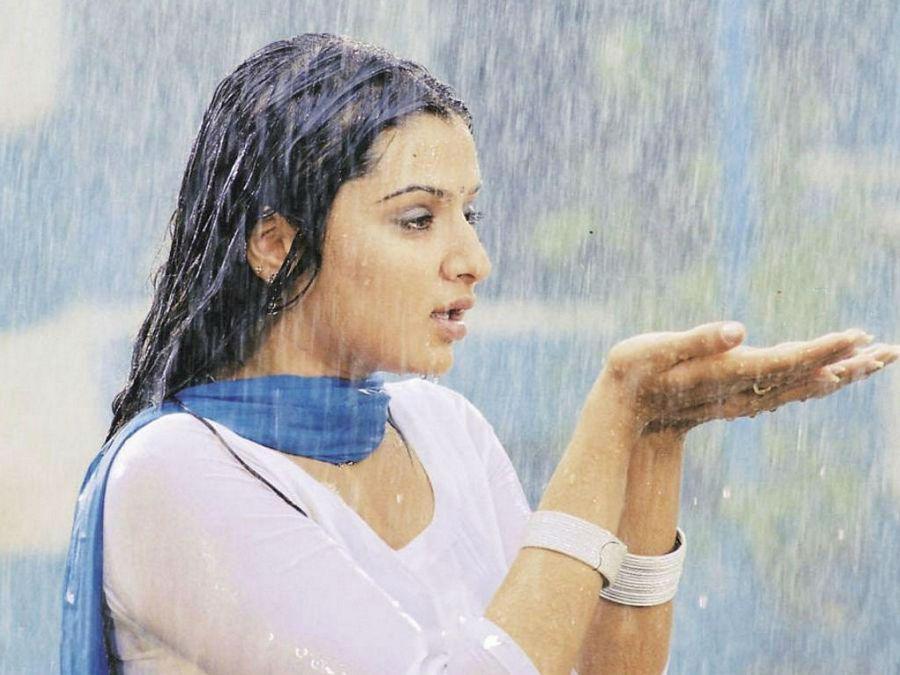 South Indian Beauties Sizzling in Rain Photos