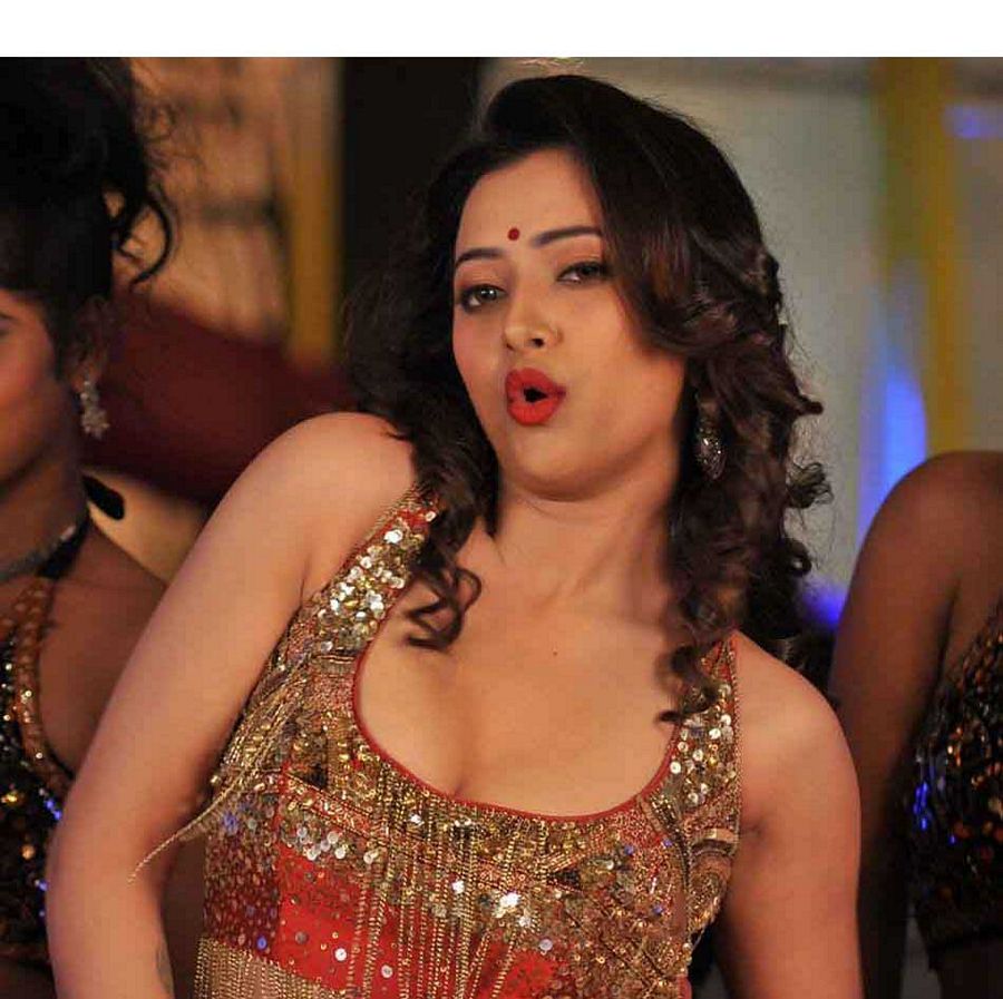 Swetha Basu Prasad Spicy Photos