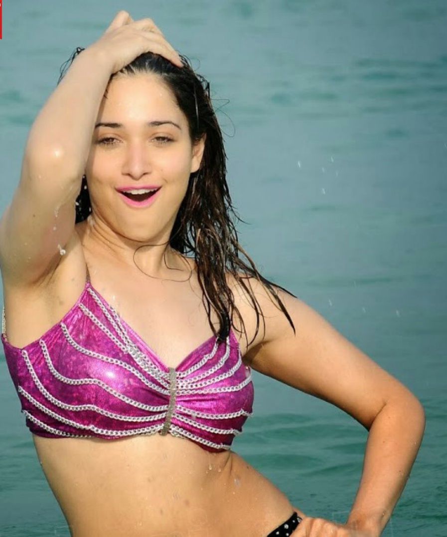 Tamanna Bhatia Hot Navel Stills