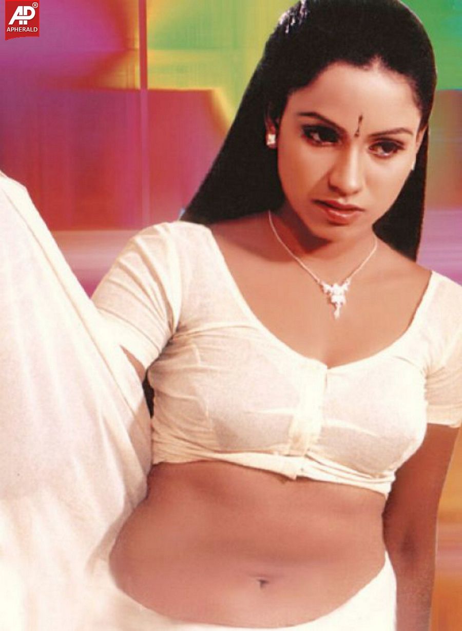 Telugu Hot Navel Actress Photo Pics