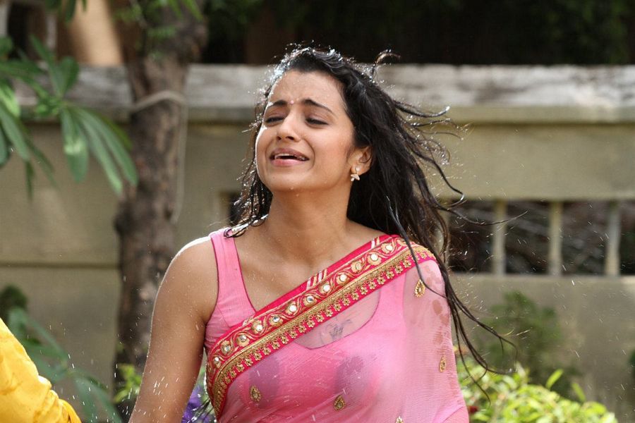 Trisha In Transparent Saree Pictures