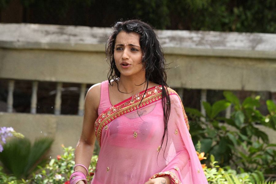 Trisha In Transparent Saree Pictures