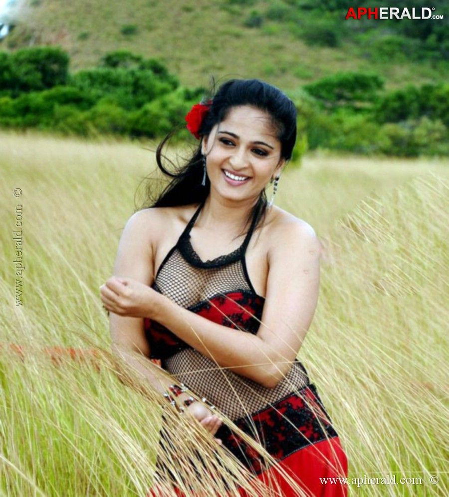 Actress Anuskha Hot Sexy Photo Pics