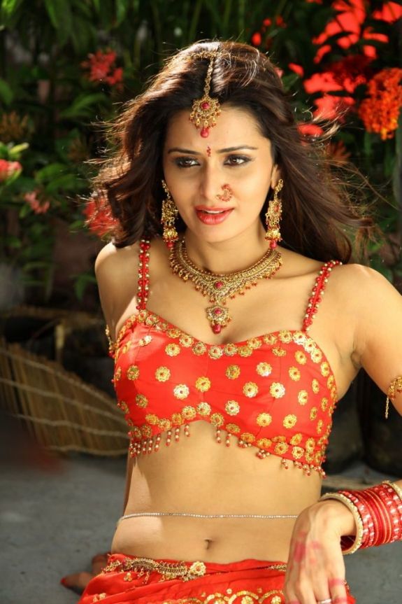 Actress Meenakshi Dixit Hot Photos