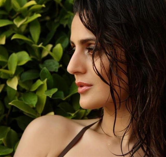 Amisha Patel Hot Looks