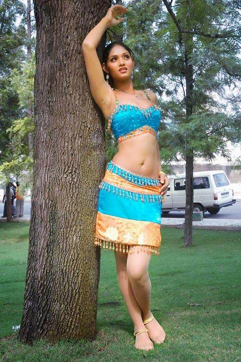 B-grade South indian hottest Photos