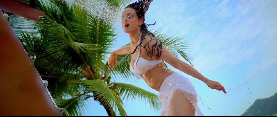 Bollywood Actress Amisha Patel Navel Pics