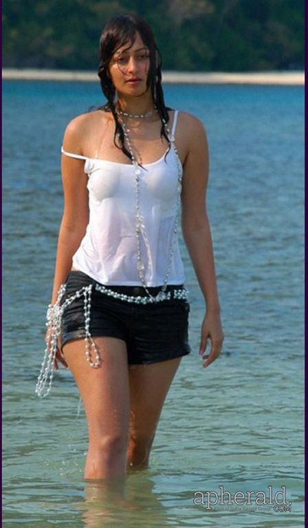 Bollywood Actress Hot Wet Photos