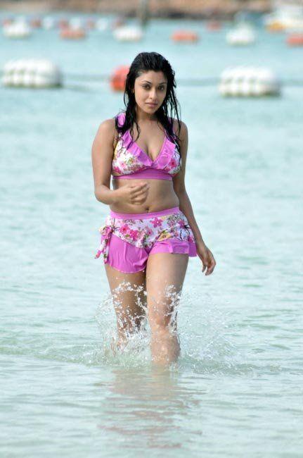 Indian Hot Actresses in Swimsuit Pictures