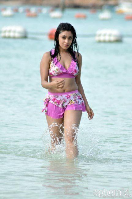 Indian Hot Actresses in Swimsuit