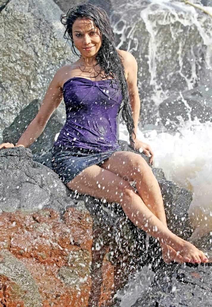 Nikita Rawal Hot Latest Pics