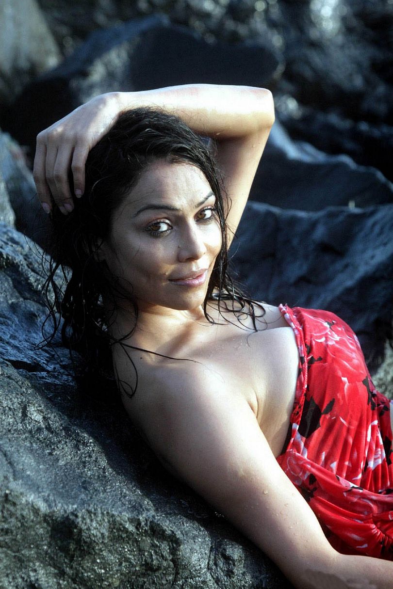 Nikita Rawal Sizzling Pictures