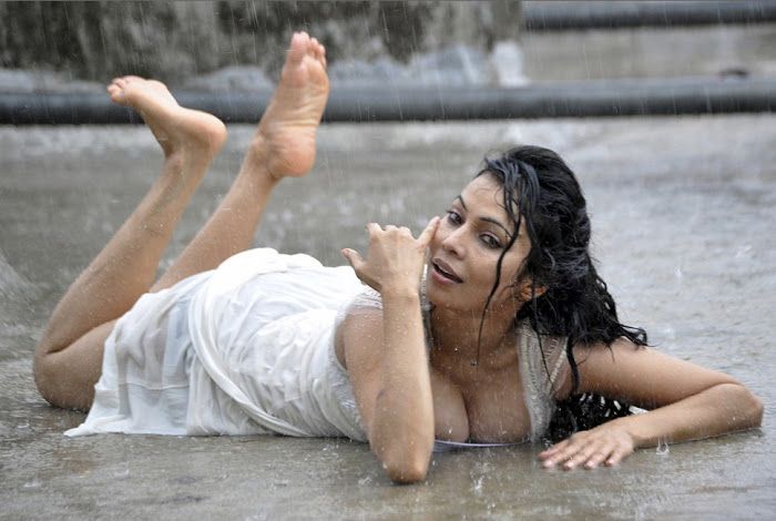 Nikita Rawal Sizzling Pictures