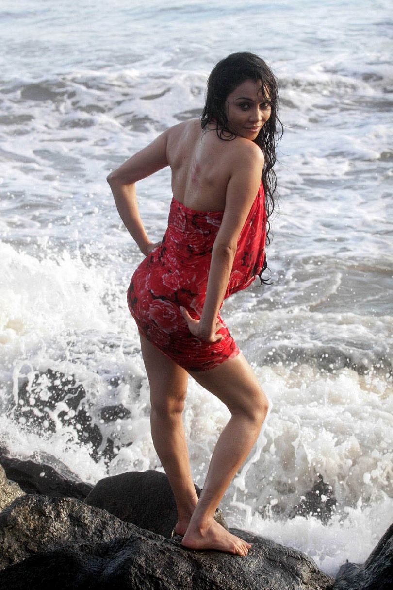 Nikita Rawal Sizzling Pictures