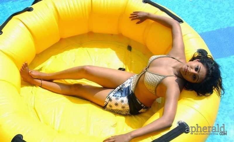 Priyamani Bikini Hot Navel Photos