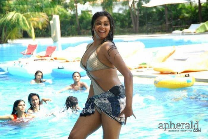 Priyamani Bikini Hot Navel Photos