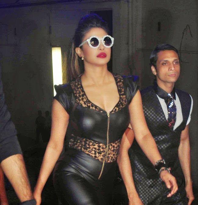 Priyanka Chopra Spicy Photos