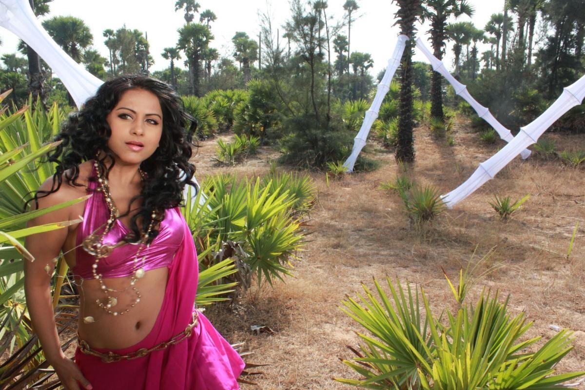 Rachana Mourya Hot Navel Show