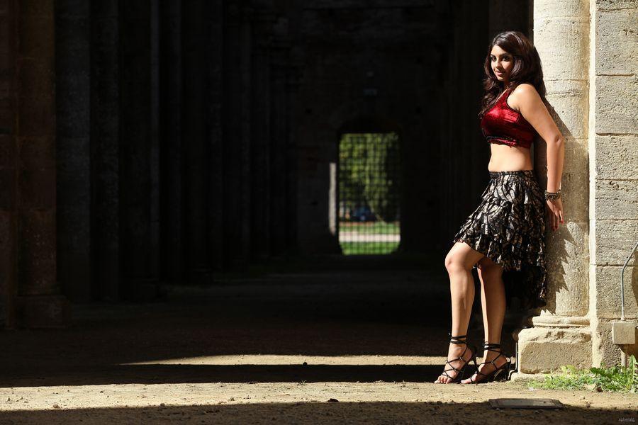 Richa Gangopadhyay Hot Navel Stills