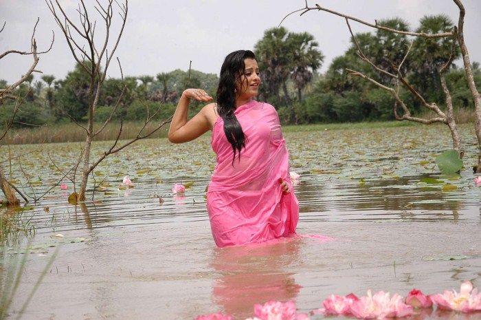 Roopa Kaur Hot Saree Pics