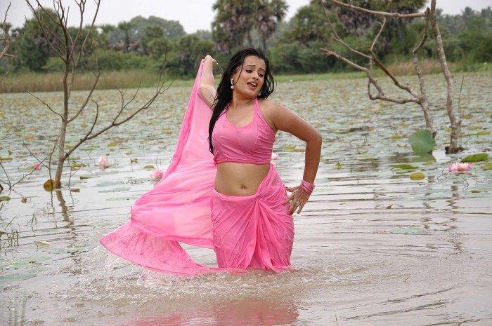 Roopa Kaur Hot Saree Pics