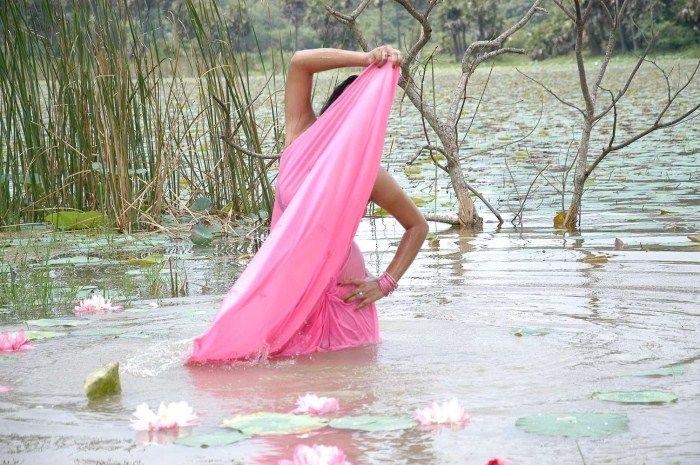 Roopa Kaur Hot Saree Pics