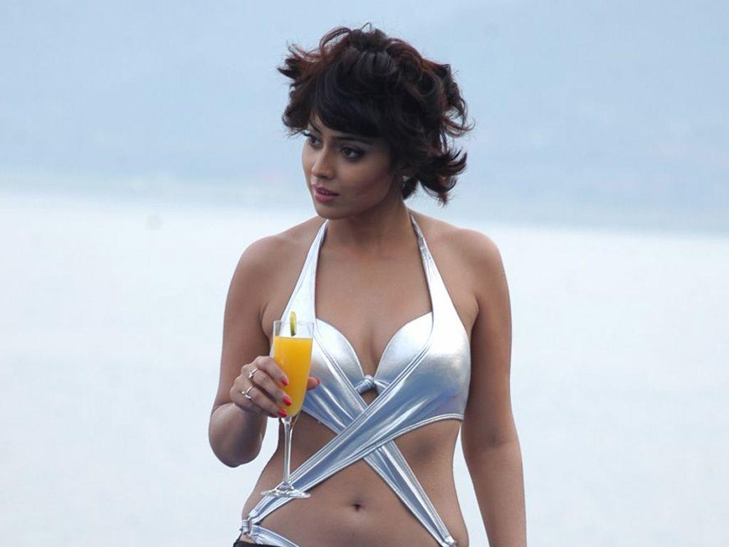 Shriya Saran Hot Navel HD Gallery