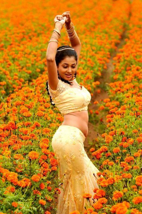 Sridevika Hot Navel Photos